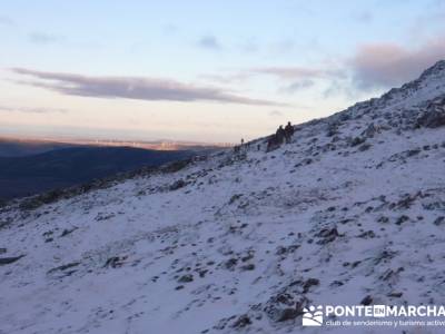 Hayedo de Pedrosa - Parque Natural Sierra Norte de Guadalajara - Hayedo de Tejera Negra